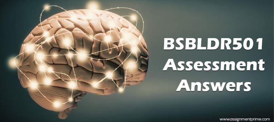 BSBLDR501 Assessment Answers